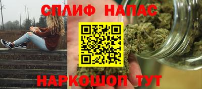 стафф Новокубанск
